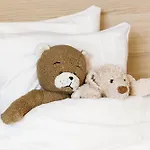 Scandic Hotell 4*